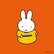 miffy with magic wand