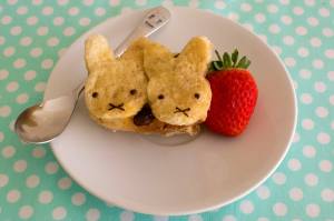 11229622_445249858986632_527606292_o