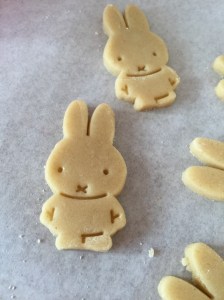 miffy cookies 4