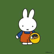 miffy with carrots in basket