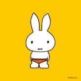 Miffy in swimming trunks bathing suit