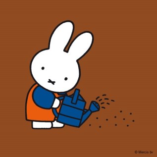 miffy watering seeds
