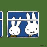 miffy with father bunny on the train 2