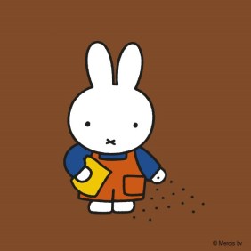 miffy sowing seeds