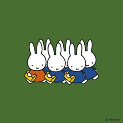 miffy going to school